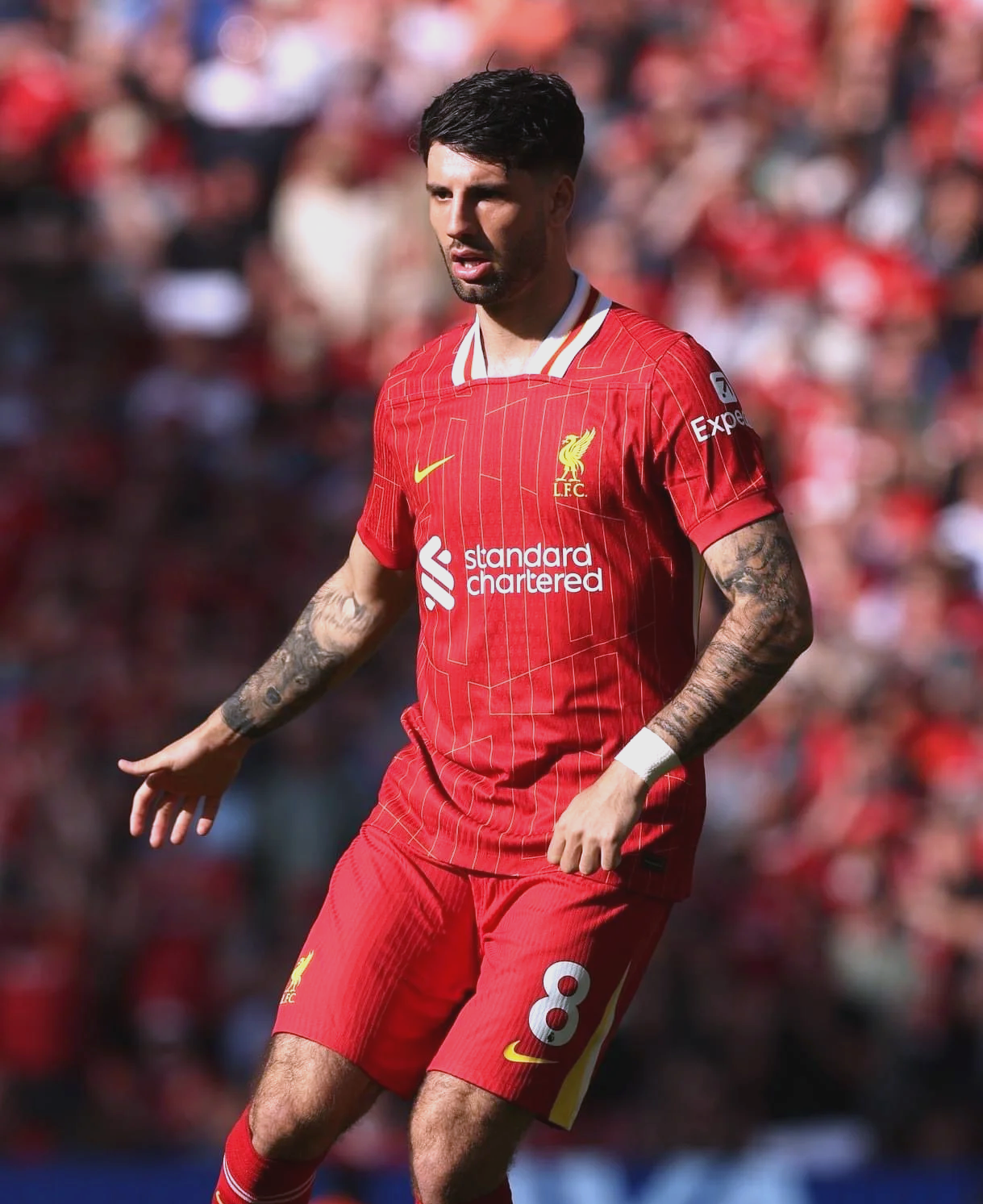 关于匈牙利队挺进八强，欧洲足球赛惊喜表现的信息