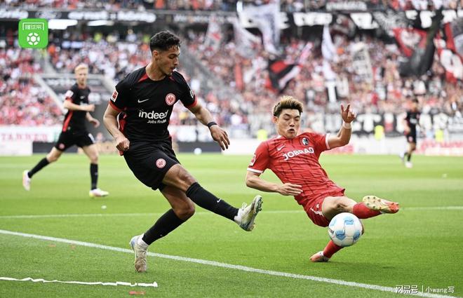 奇迹时刻：霍芬海姆客场逆转拜仁慕尼黑大胜的简单介绍