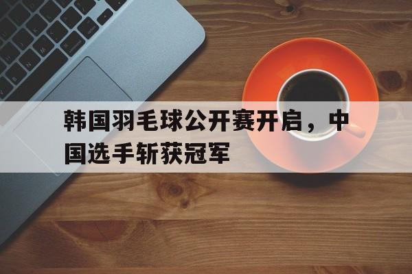 韩国羽毛球公开赛开启，中国选手斩获冠军